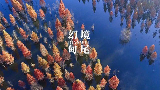 冷知识分享平台-发现惊奇有趣的