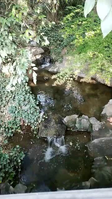 荒野行动
