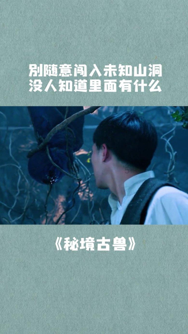 永定区枫香岗街道：无偿献血 情暖冬季
