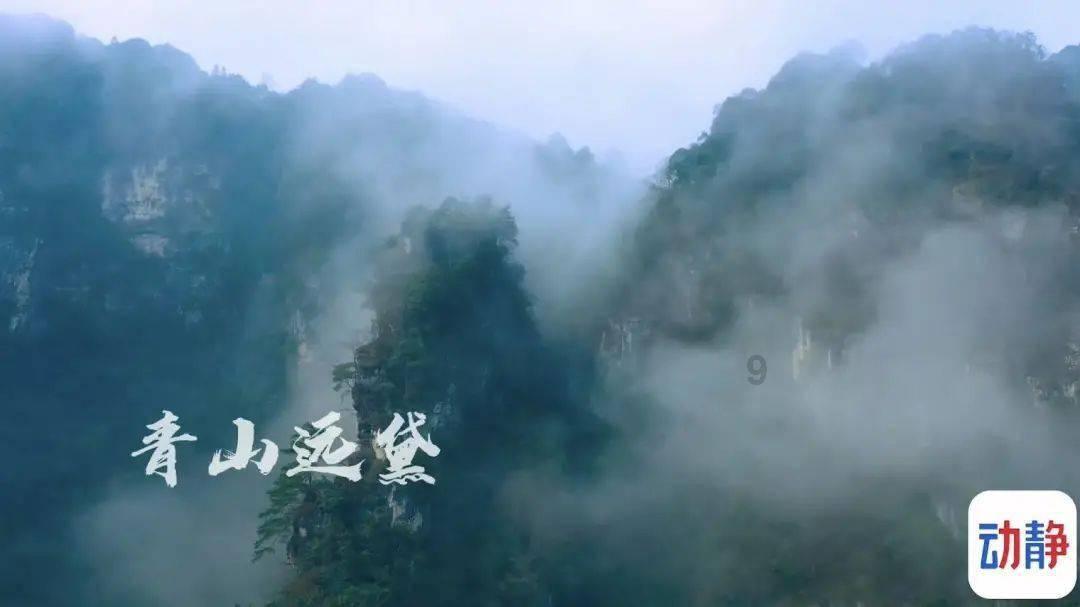 【五商宠粉日】五台农商银行发放满减券啦!