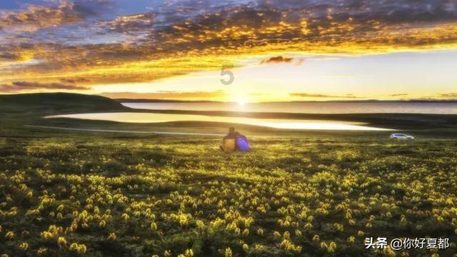 救援花栗鼠