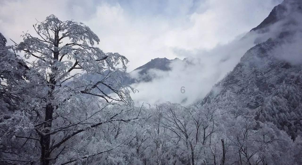 谋杀：灵魂疑犯
