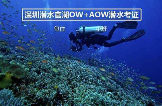 南京溧水和凤镇张家村:党员冬训聚动力,促进基层新发展