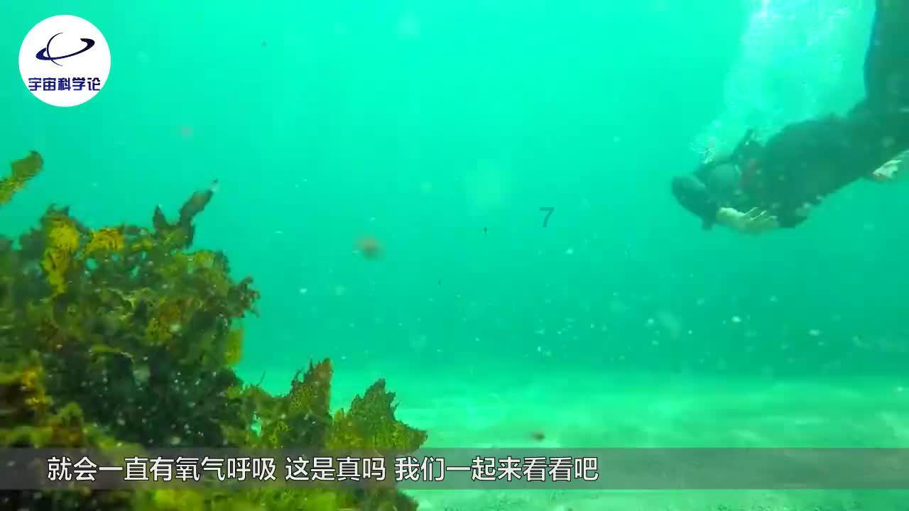 刺客信条：大革命