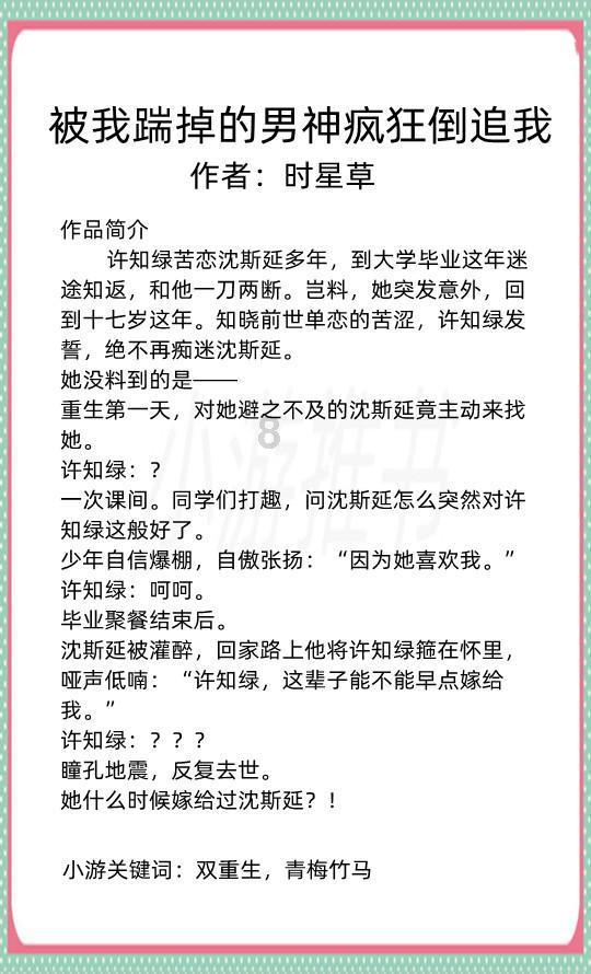 森迪公主夏日度假