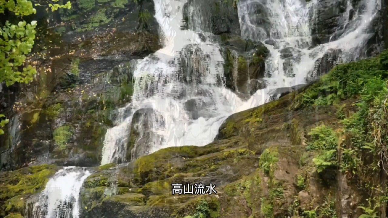 别致OL