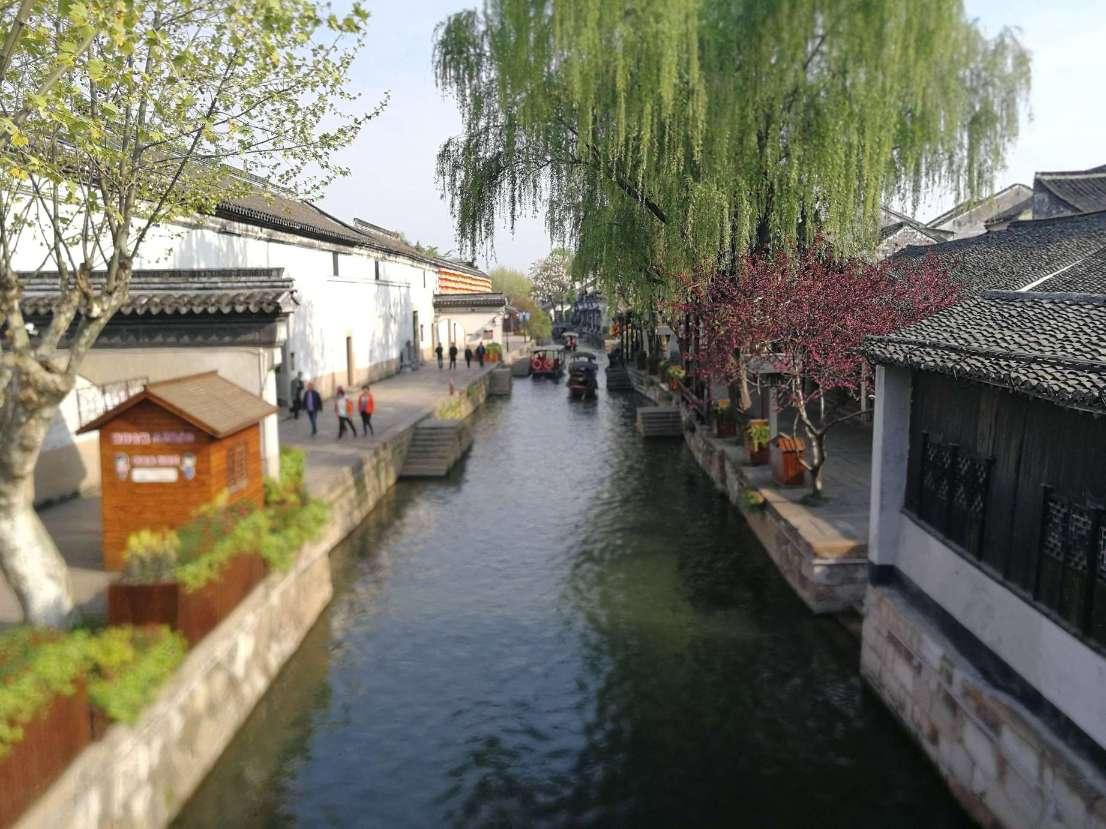 无休止的树
