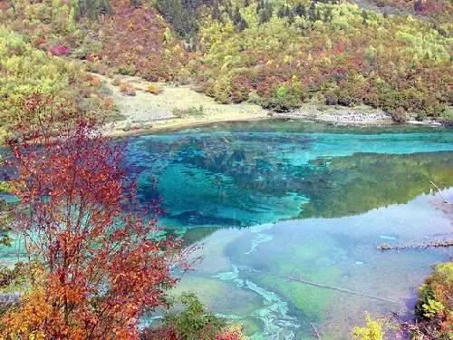奔驰全新一代国产E级插混街拍!油耗更低,官方涨价接受吗?